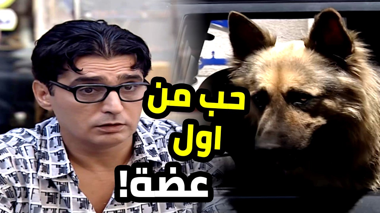 الكلب من اول نظرة شكلو حبو لشفيق و قرر يلحقو