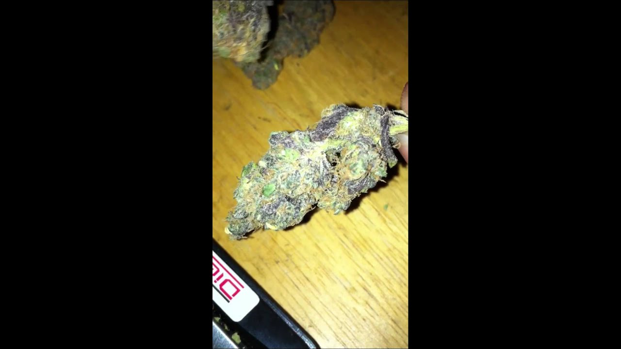 Purple Sticky ICKY
