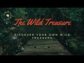 The wild treasure drivinginstrumentalmusicwildanimalssavetheworld