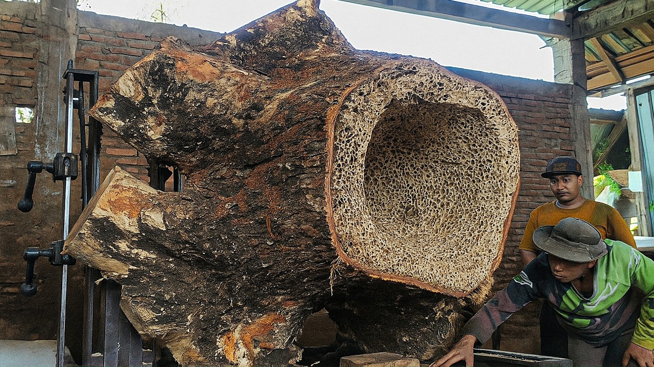 Insane Saw Mill Operation ‼️ Trembesi Wood Head Almost Took the ...