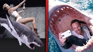 Celebrities Attack Twitter with 'Sharknado 2' Quips
