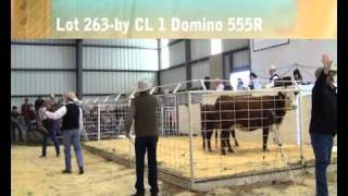 Jamison Herefords Dispersal Video Sale Report