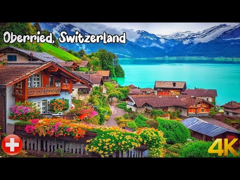 스위스 | swiss | 빗속 도보 여행 4K