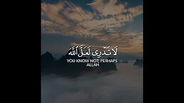 لا تدري لعل الله يحدث بعد ذلك أمرا سورة الطلاق القارئ رعد الكردي 