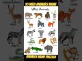 10 Wild Animals Name In English Animals Names Name Of Wild Animals ज गल ज नवर क न म 