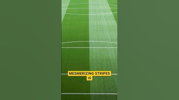 🧐Why football pitches have stripes?