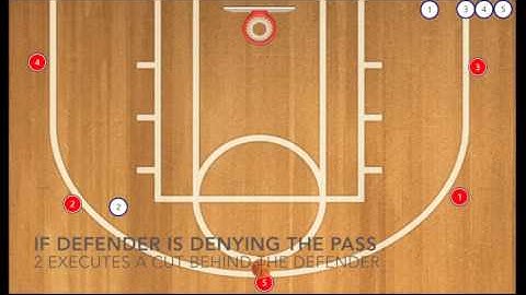Basketball - 5 Out Read & React Offense
