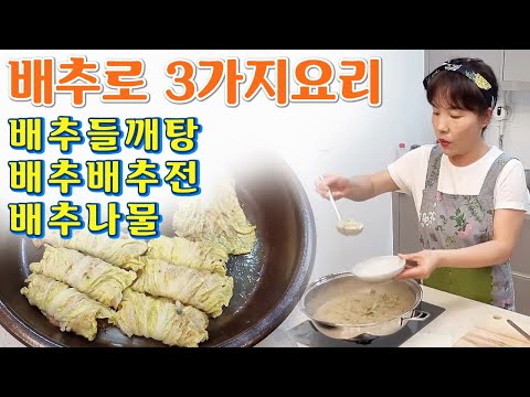 🔴 배추로 3가지 요리 👍  배추들깨탕, 배추전, 배추나물【아래 "실시간 채팅" 꾹 ~ 👆】