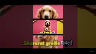 #cuteshorts funnydogs #CuteDog#petdance #dogshorts #funnyanimals #viralshorts #youtubeshorts