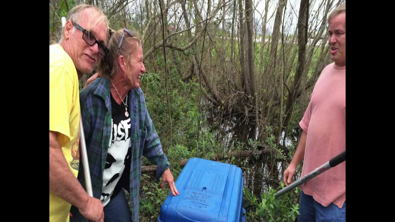 leopard print Bobcat Rehab Cypress