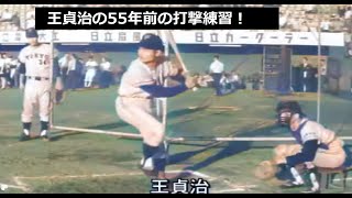 本物のプロ野球ポジフィルム】 王 貞治選手のバッティングシーン 本物