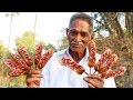 How to make Corn Dogs || American Snacks ||  Easy Corn Dogs Recipe By Our Grandpa