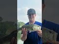 Fishing is true love #fishing #bigbass #viral #fishlife #edit
