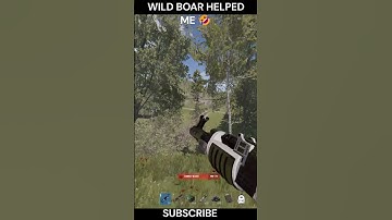 Rust funny moments #shorts