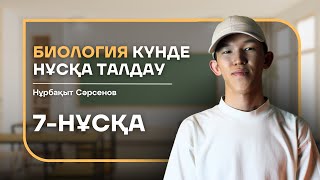 : 7-   -  |  
