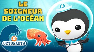 Octonauts - 🩹 Le soigneur de l'océan 🐧 | Compilation de Peso | Dessins animés pour enfants