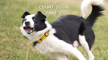 Countdown | Part 7 | FW!