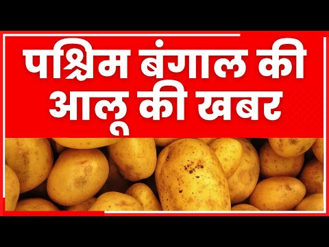 digital marketing ki bangla
