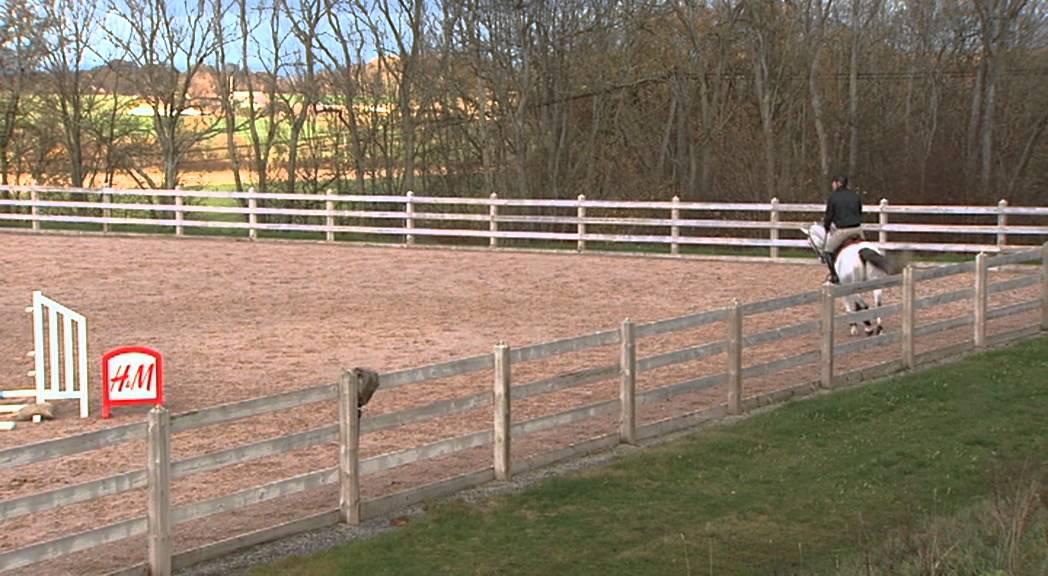 Learn to Canter in the turn