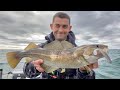 Pche de la morue du bar et du lieu jaune avec des leurres  sea fishing uk  le casier  poissons