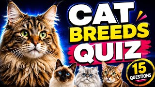 🐱 Cat Breeds Quiz | Can You Guess All 15 Cat Breeds | Animal Quiz Challenge | QuizNexora Firoja