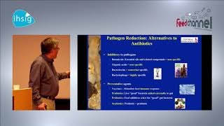 Prof Steven RICKE-IHSIG 2019 screenshot 1