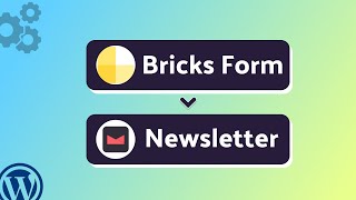 Integrating Bricks Form with Newsletter | Step-by-Step Tutorial | Bit Integrations