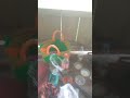 pembersihan kolam ikan di kebun