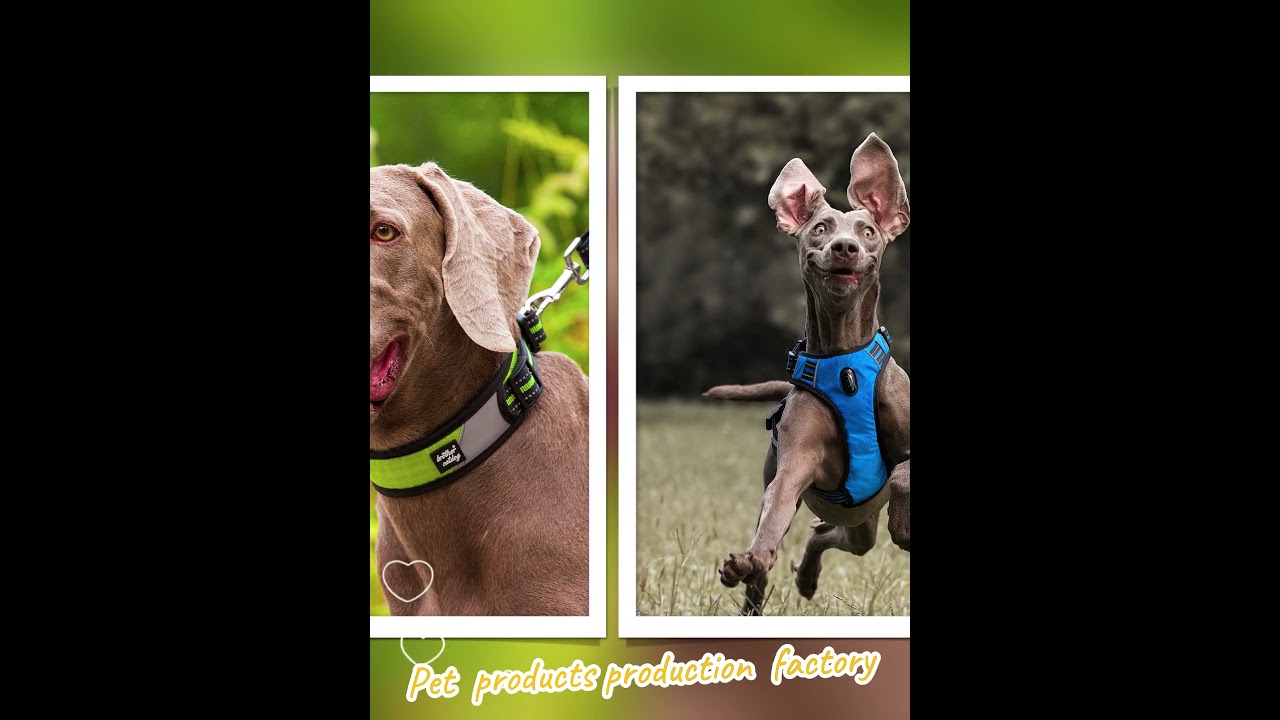 Source Quality Products Made in China 