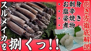 スルメイカを捌く！鮮度抜群の船内凍結のスルメイカの紹介と捌き方解説！