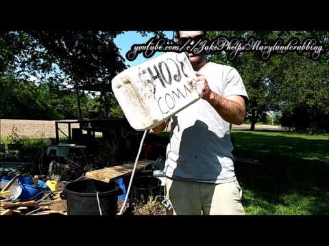 How to Make a Trotline for Crabbing