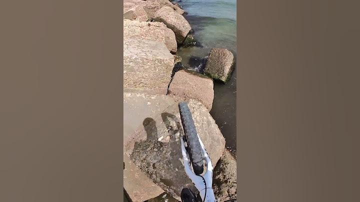 Cosa Succede se Provi a Pedalare sugli Scogli? 😰💦