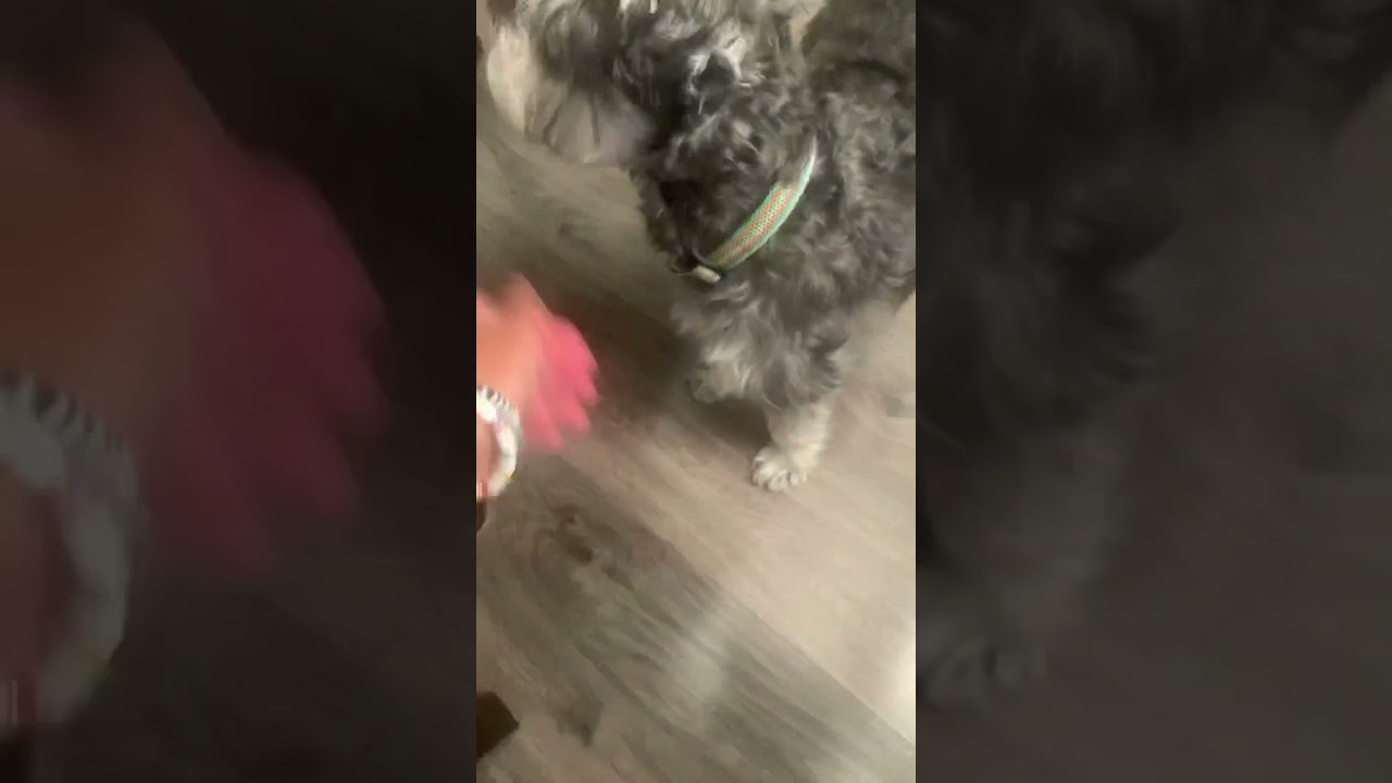 She won’t let me pet her 🥲 