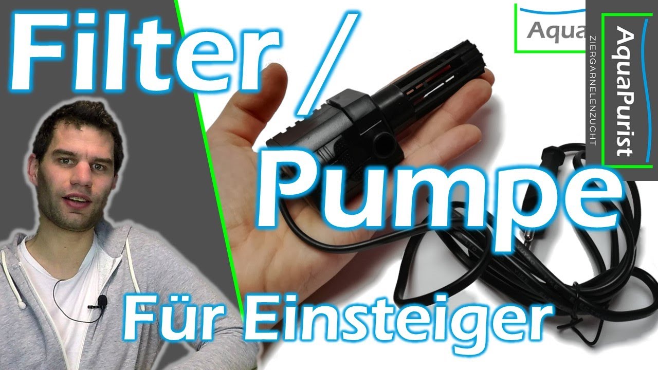 Welchen Filter bzw. Pumpe brauche ich für mein EinsteigerAquarium