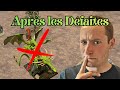Ce que mes Défaites m’ont appris sur les Elfes Sylvains