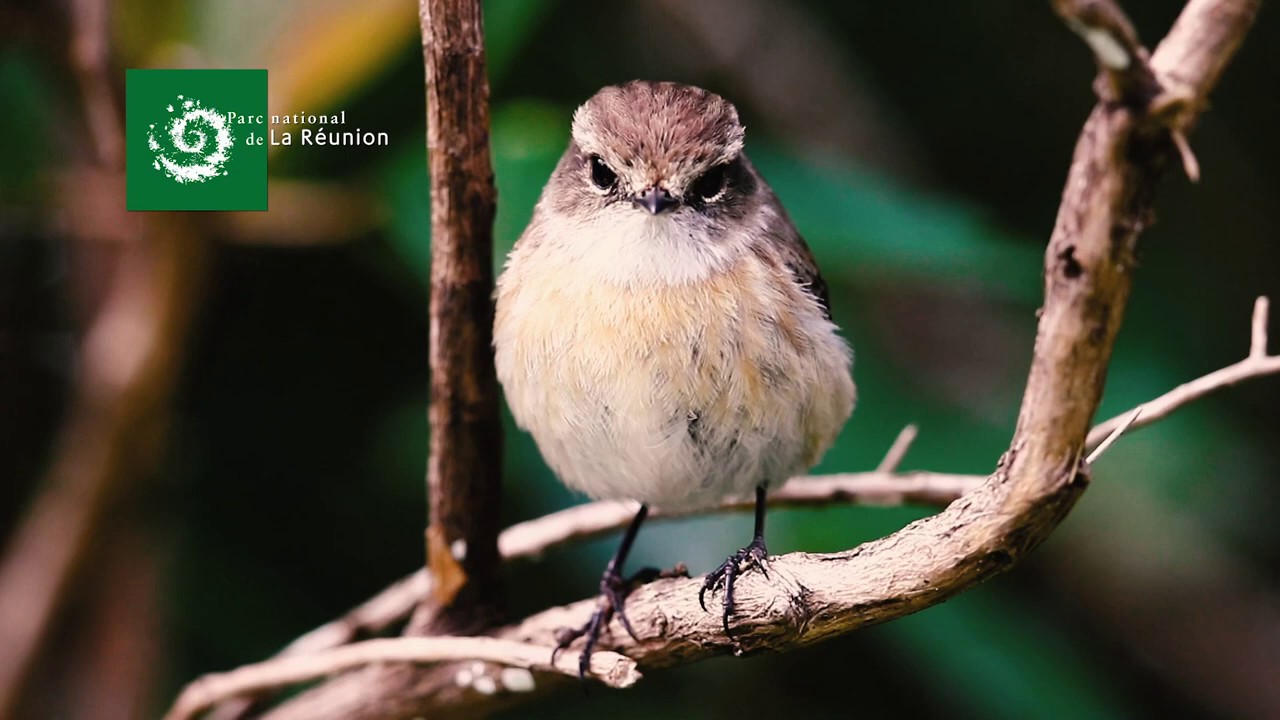 Parc National Spot des femmes et des hommes