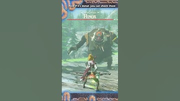 Mini Boss Tricks in Zelda Breath of The Wild | BotW Lynel, Hinox, Stalnox, Molduga