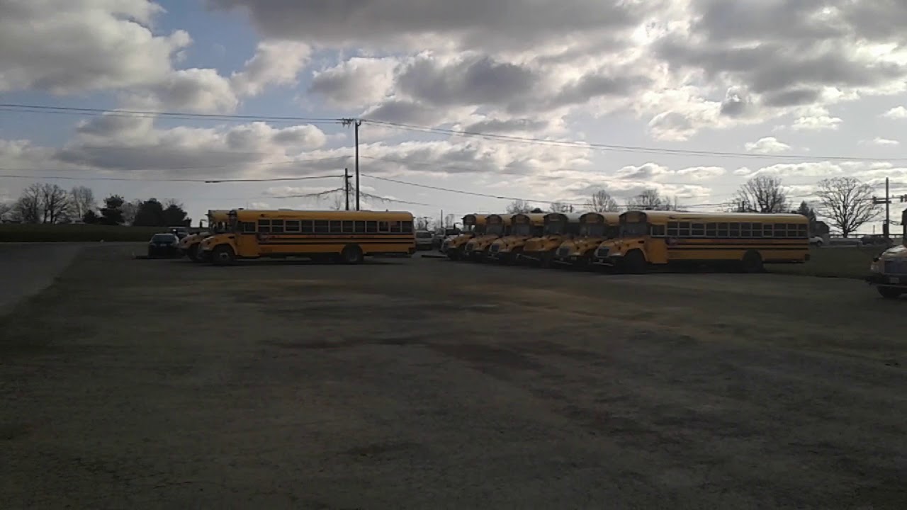 chanel perfume Lots Of School Busses on the Bus Lot