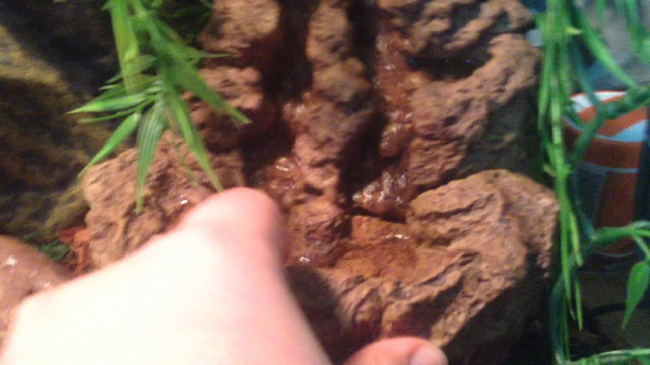 Exo Terra Waterfall Review YouTube