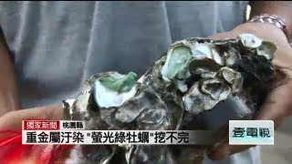 獨家揭發重金屬汙染 螢光綠牡蠣誰敢吃（壹電視新聞）