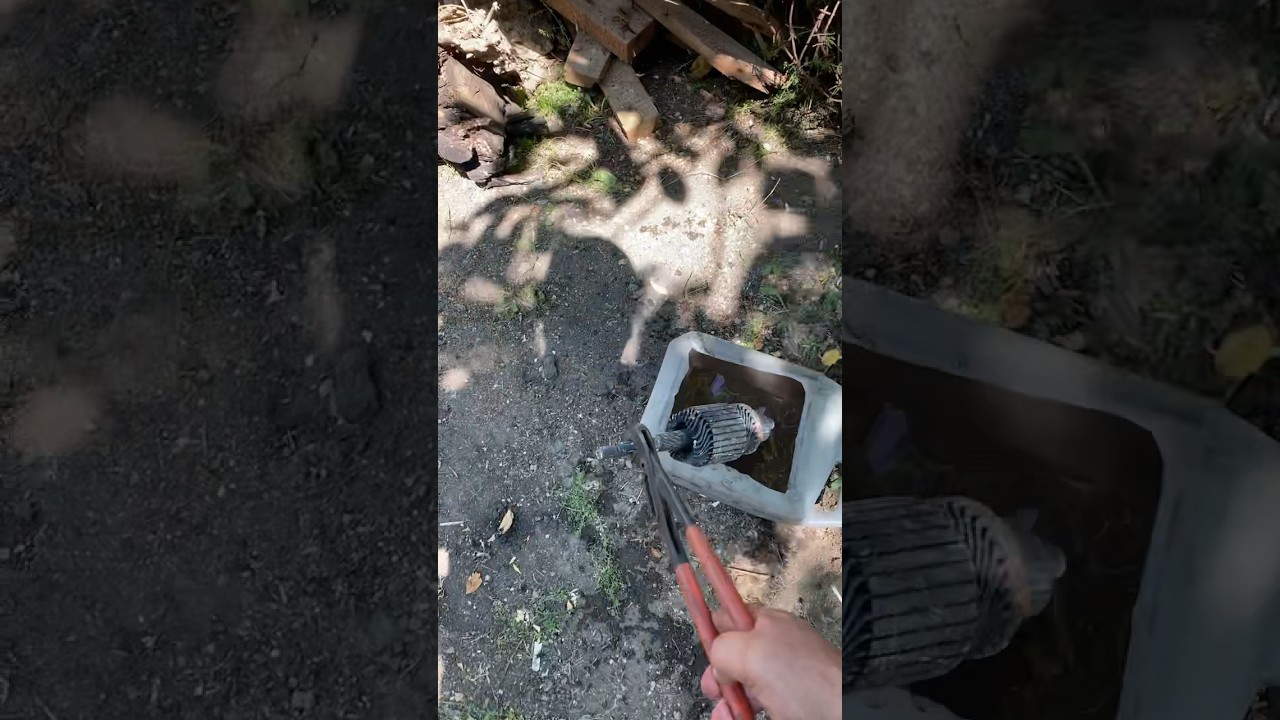 Как сварить суп из ротора от стартера. ))) 