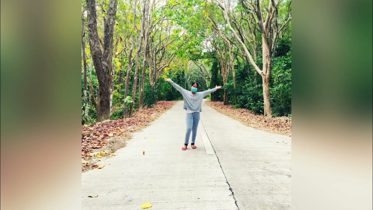 Molave tree plantation 4.8 hectares only in Siquijor, Philippines