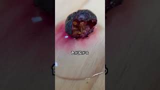 乾燥ブルーベリーを水で戻したい