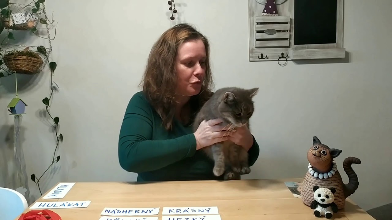 ZŠ Velký Šenov, 2. třída - Slova souznačná, synonyma