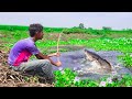 Fishing Video || Anyone will be impressed by the fishing talent of the boy  || Fish hunting