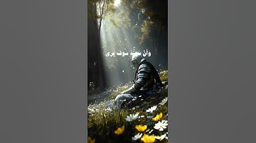 #quran #قران_كريم #قرآن #تلاوة_خاشعة #اكسبلور #لايك #المنشاوي