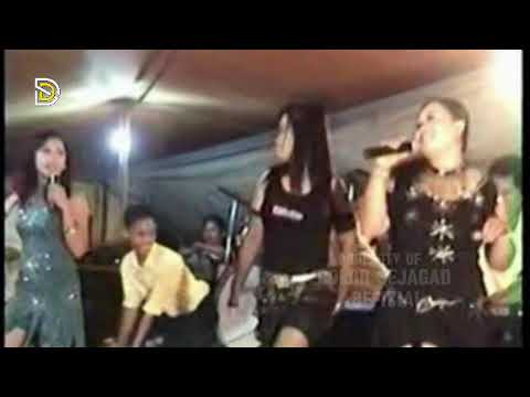 HELLO ABANG COVER CINDY AMEL ‖ OM. GITA NADA MUSIK #orkes #dangdut #beritamusik #l