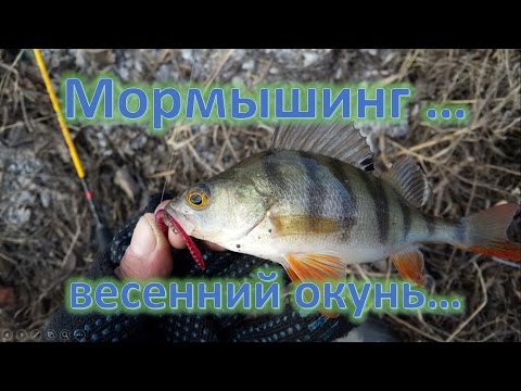 ловля окуня ранней весной на ультралайт