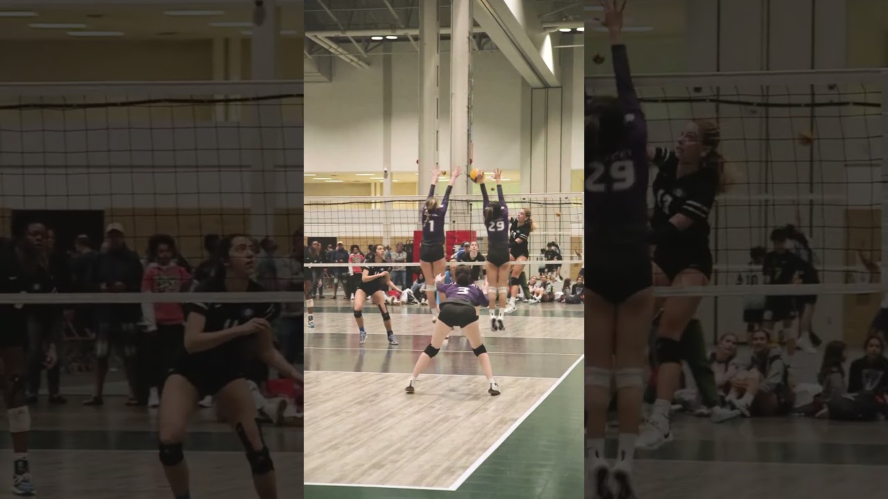 KW Predators with the dives | OVA Shorts #ova #volleyball