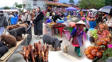 Full VIDEO Chợ Số 1 Tây Bắc Vùng Cao - Toàn Của Ngon - Vật Lạ - Qúy Hiếm - Ẩm Thực Gây Sốt 